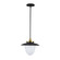Dahlia One Light Pendant in Black (78|AC11905BB)