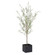 Abundance Tree in Olive (52|60240)