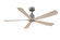 Kute5 52 52''Ceiling Fan in Antique Graphite (26|FPD5534AGP)
