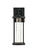 Zev LED Outdoor Wall Sconce in Black and Clear (173|OD601W15BK)