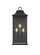 Shepard Three Light Outdoor Wall Sconce in Black (173|OD503W25BK)