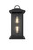 Neil Two Light Outdoor Wall Sconce in Black (173|OD411W21BK)