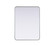 Remy Mirror in Silver (173|MR8A2736SIL)