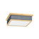 Ashdown LED Flush Mount in Aged Brass (70|MDS1900-AGB/DBL)