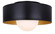 Daylon One Light Flush Mount in Black (387|IFM1150A13BK)