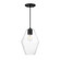 Geode One Light Mini Pendant in Black (16|21335CLBK)