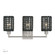 Twinewell Three Light Vanity in Brushed Nickel (107|14043-91)