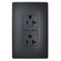 radiant 65W Commercial USB Outlet, Type C, 20A, Tamper-Resistant in Graphite (246|TR20USBPD65G)