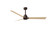 Alessandra 56'' Ceiling Fan in Textured Bronze (101|AK-TB-LM-56)