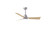 Alessandra - LK 42'' Ceiling Fan in Brushed Nickel (101|AKLK-BN-LM-42)