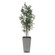 Sonora Olive Planter in Silvery-green (52|60269)