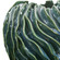 Veridian Ridge Vases Set/2 in Green And Blue (52|18325)