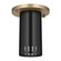 Ruehl LED Flush Mount in Black (12|52842BK)