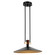 Tenon LED Pendant in Black (12|52832BKLED)