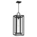 Jayce One Light Outdoor Hanging Lantern in Matte Black (10|JAY1909MBK)