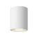 Nordic LED Outdoor Ceiling Mount in White (347|EC265106-WH)