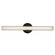 Tole LED Wall Sconce in Black (347|WS24-027-BK)