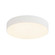 Rynn LED Flush Mount in White (347|FM5-285B-WH)