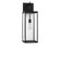 Rox One Light Lantern in Textured Black (1|GLO1781TXB)