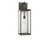 Rox One Light Lantern in Antique Bronze (1|GLO1781ANBZE)
