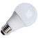 Light Bulb in Frost (230|S14406)