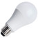 Light Bulb in Frost (230|S14375)
