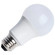 Light Bulb in Frost (230|S14361)