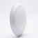 Light Bulb in White (427|773292)