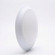 Light Bulb in White (427|773288)