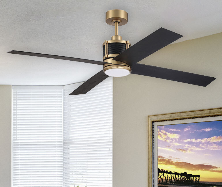 Indoor Ceiling Fan