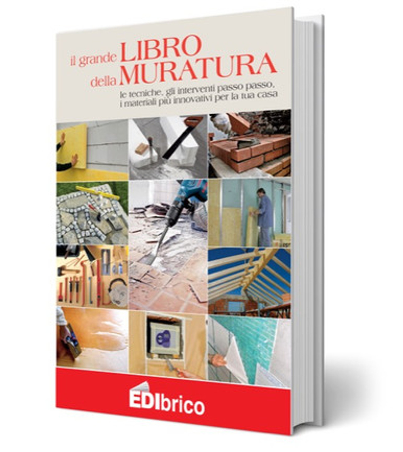 Manuale del manutentore - Libri e Riviste In vendita a Torino