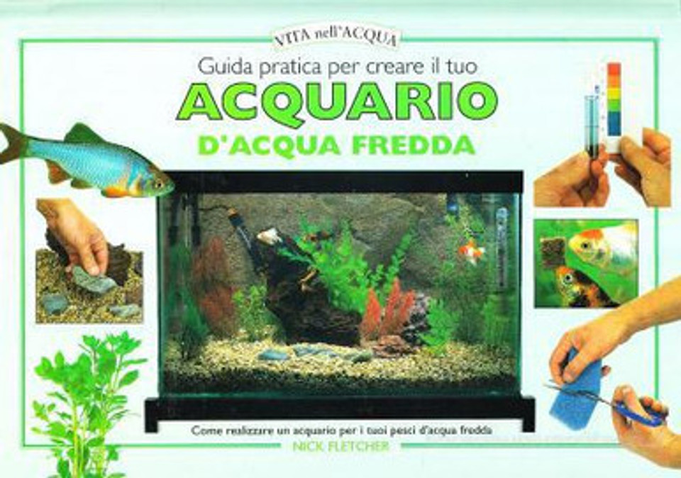 Guida pratica alla scelta di pesci da acquario d'acqua fredda