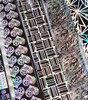 NEW 8PCS Silver Holographic Nail Art Transfer Foils (Limited Edition Set)