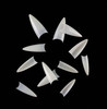 NEW Pointed Oval French Well-less Nail Tips - Natural