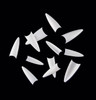 NEW Pointed Oval French Well-less Nail Tips - White