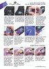 Instructions for Pamper Plates Professional Stamping UV/LED Gel Paints