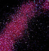 TNS PURGENTA Iridescent Magenta Glitter for Nail Art (Chunky)