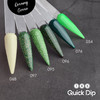 TNS Quick Dip Fast Setting Coloured Powder 28gm - Green Chantilly QD068