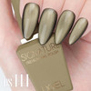 DGEL 10PCS Glint Gel Polish Collection (Magnetic) - HEMA-FREE DGEL 10PCS Glint Gel Polish Collection (Magnetic) - HEMA-FREE