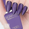 DGEL 10PCS Glint Gel Polish Collection (Magnetic) - HEMA-FREE DGEL 10PCS Glint Gel Polish Collection (Magnetic) - HEMA-FREE