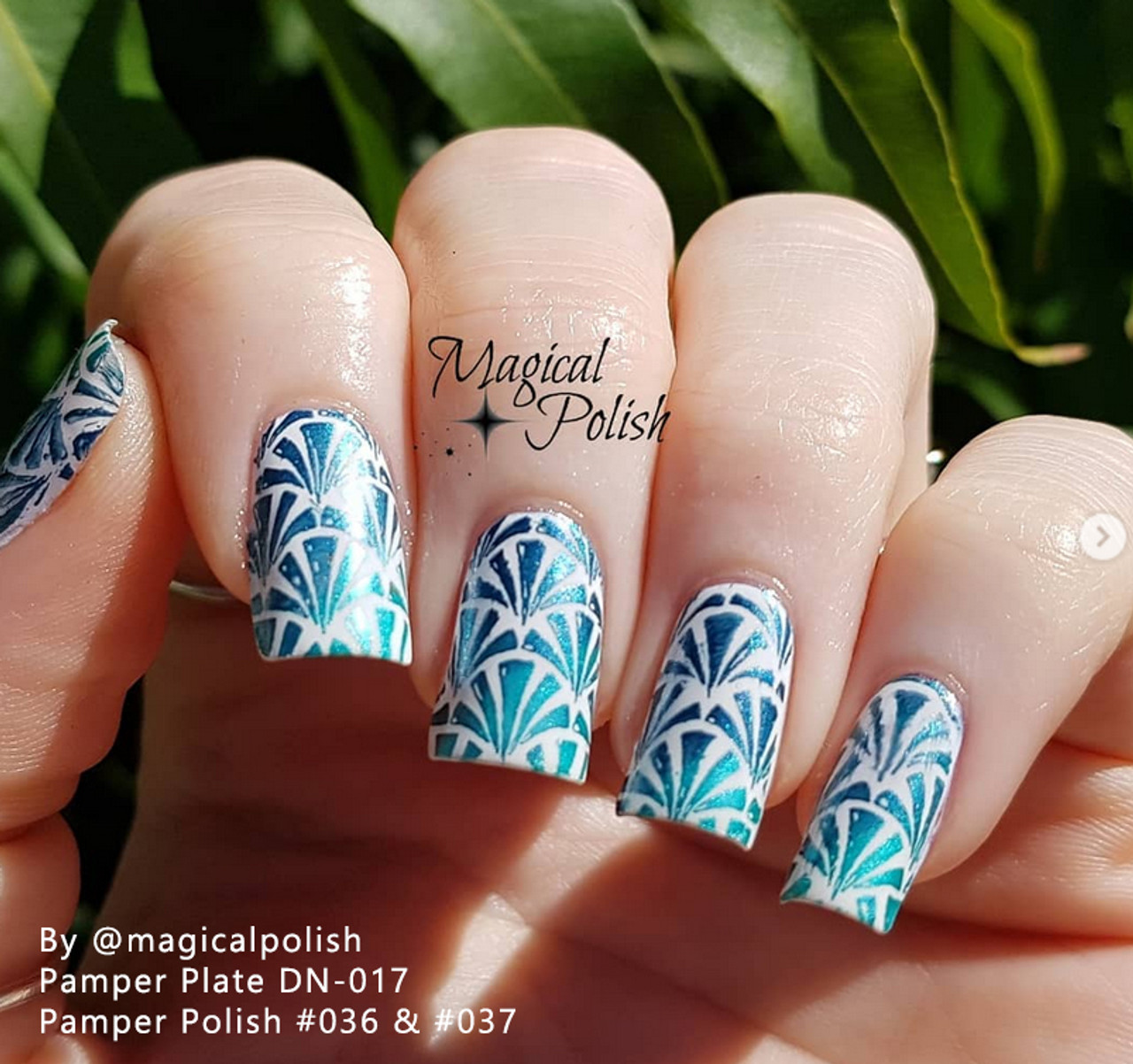 Stamping plates 019 Master Professional Brands | Kris Nails