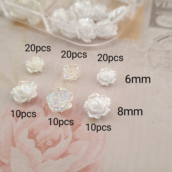 10PCS X Dried Flowers for Nail Art Embedding - Individuals Colours