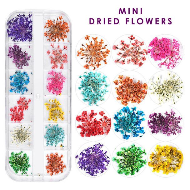 Mini Coloured Dried Flowers Mix for Nail Art - Great for Milk Bath Nails!