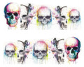 White Watercolour Skulls for Nail Art (Water Decals) - Great for Halloween Nail Art!