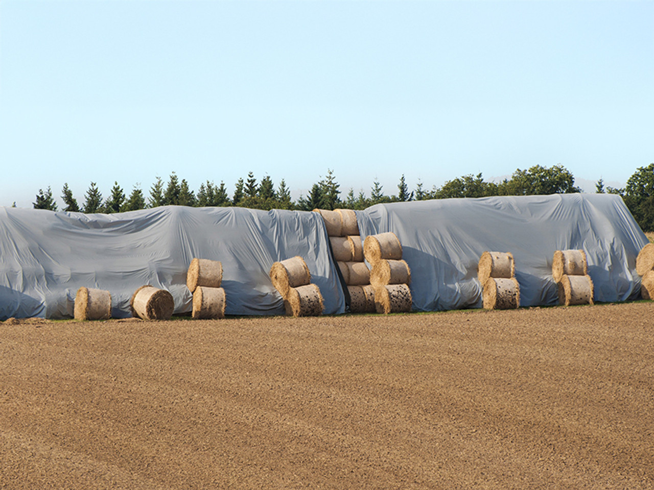 Heavy Duty Tarps Heavy Duty Tarps