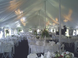 Party Linens