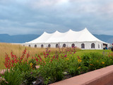 Wedding Tents