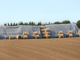Heavy Duty Tarps