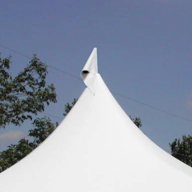 White Pole Flag, a white fabric flag attached to a tall pole with a pointed tip, fluttering against a blue sky with trees in the background.