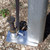 42" x 1" Double Head Tent Stake, close-up view showing the stake secured in ground with metal base plate and attached to a pole.